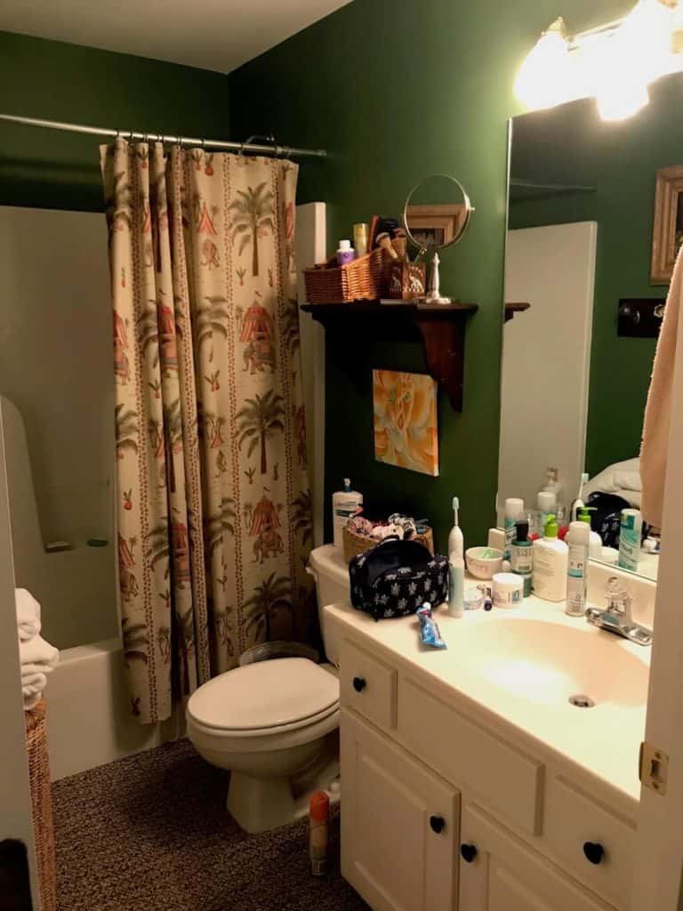 Girls Bathroom or Secondary Bathroom Before Image