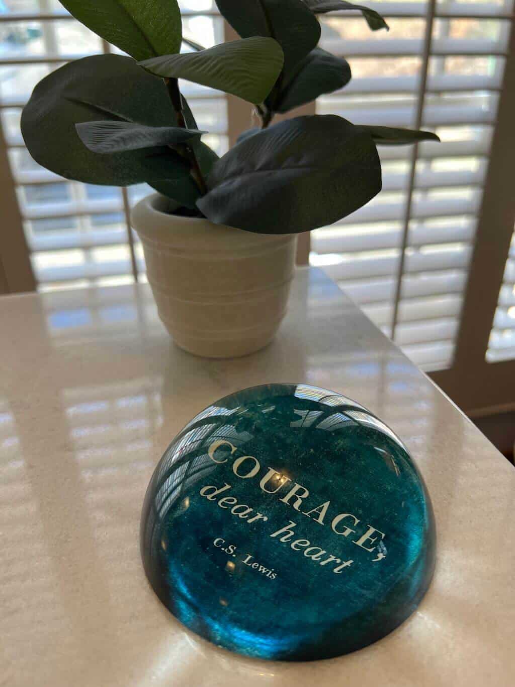 Office Desk Decor with paperweight and plant