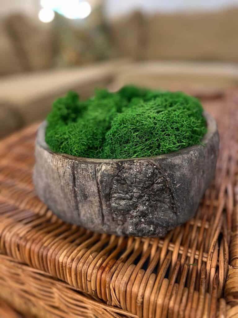 Preserved green moss to add some green to your space