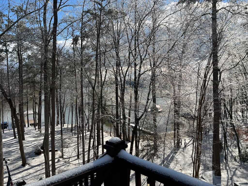 Snow Day at the Lake!