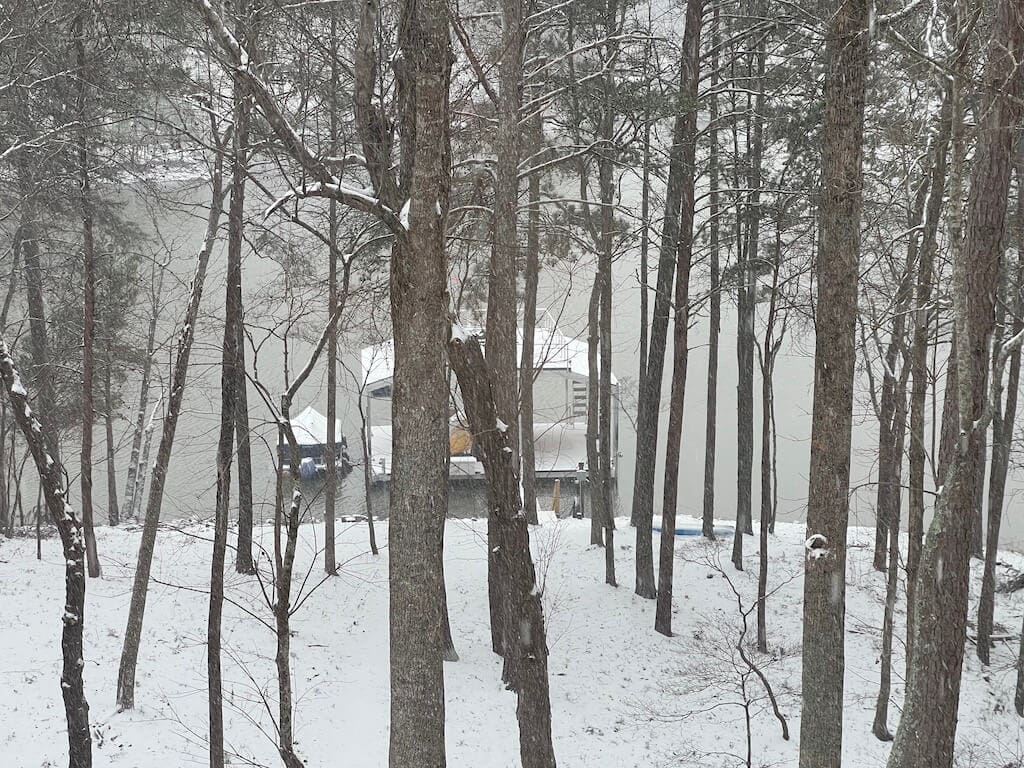 Snowy Dock Day