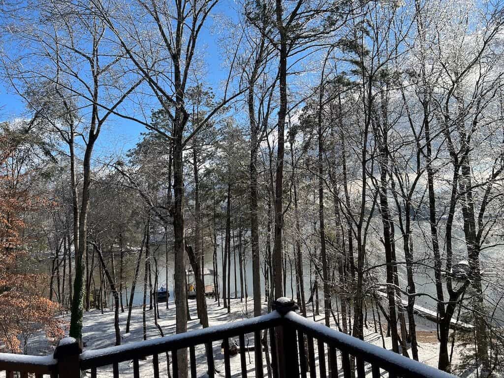 Snowy Dock Day