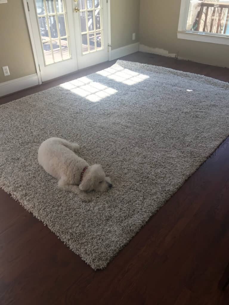 Newly Refurbished Hardwood Floors that see a lot of action